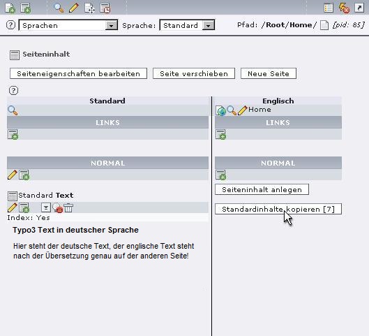 Typo3-Webseite-uebersetzen